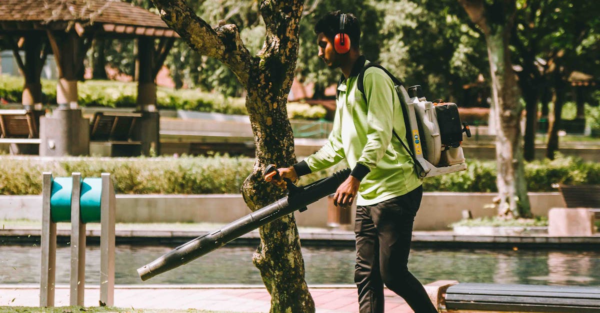 Lawn Care Services in Mesa